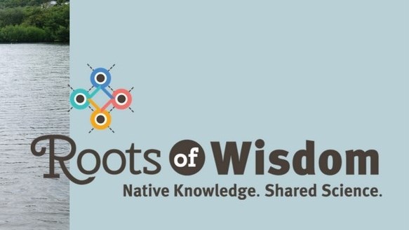 Roots of Wisdom - Reception