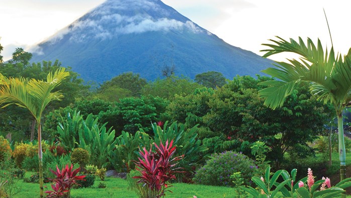 Costa Rica Nuts + Bolts
