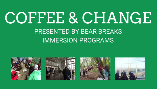 Bear Breaks Coffee and Change