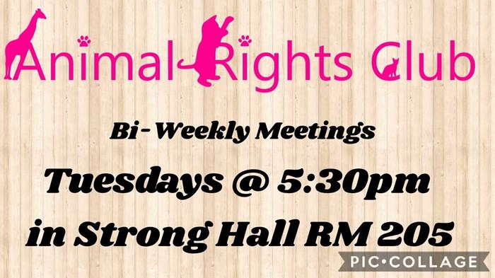Animal Rights Club Bi-Weekly Meeting