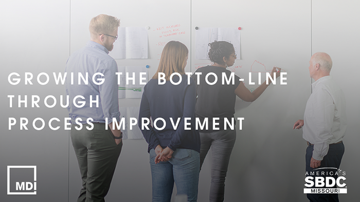 Growing the Bottom-Line through Process Improvement