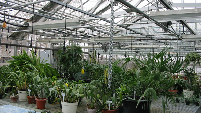Darr College of Agriculture Annual Plant Sale