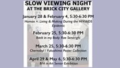 Slow Viewing Nights at the Brick City Gallery